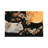 Ra-Ra And The Grasshopper by Ivory Cats - Wrapped Canvas Print-1266012703