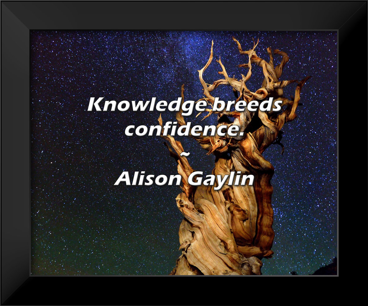 ATX Art Group LLC Alison Gaylin Quote: Knowledge breeds confidence