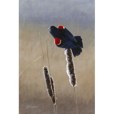 Redwing Morning II by Fred Szatkowski - Wrapped Canvas Print
