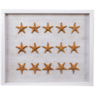Sealife Print