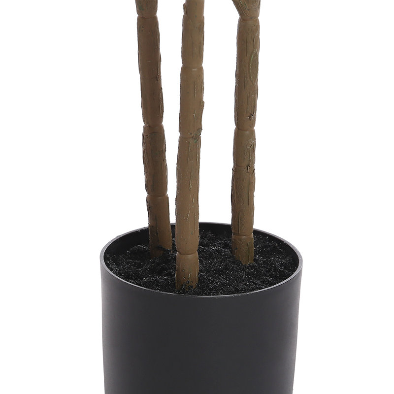 Arbre à ficus 5 pi, H 63 po x l 6 po x P 6 po