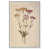 White Frame