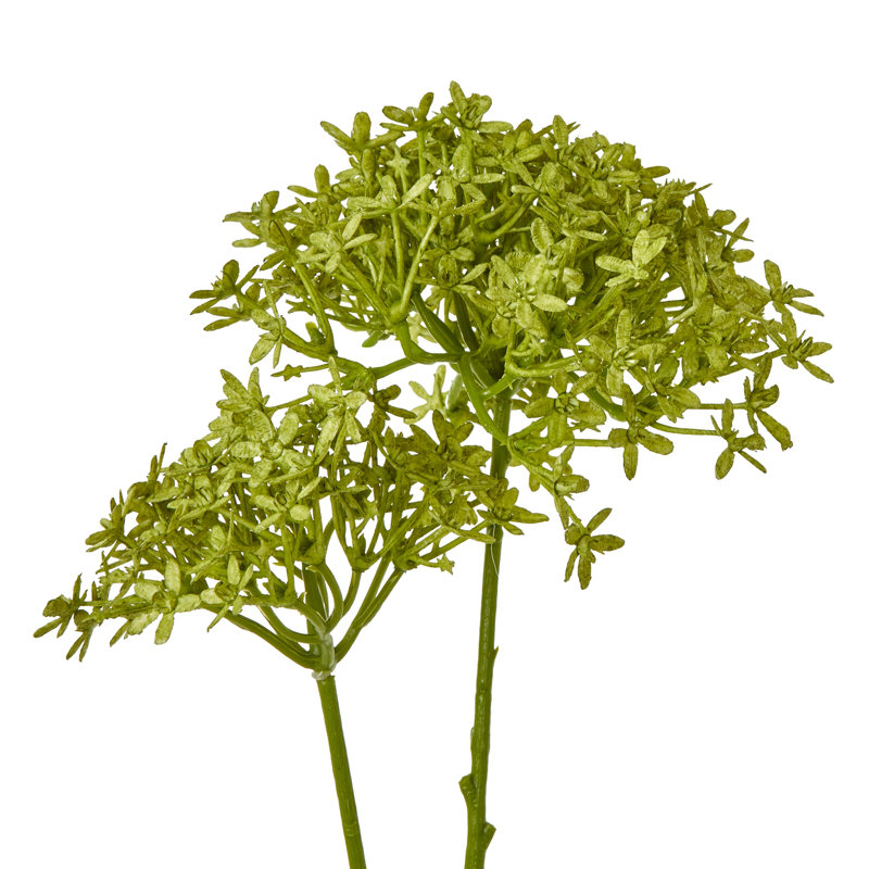 Hydrangea Arrangement, Green