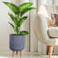 Ribbed Cylinder Planter with Feet-1753896807-1753896811