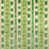 Fern