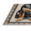  Tapis lavable suédois Vallhund Dogs-901419268