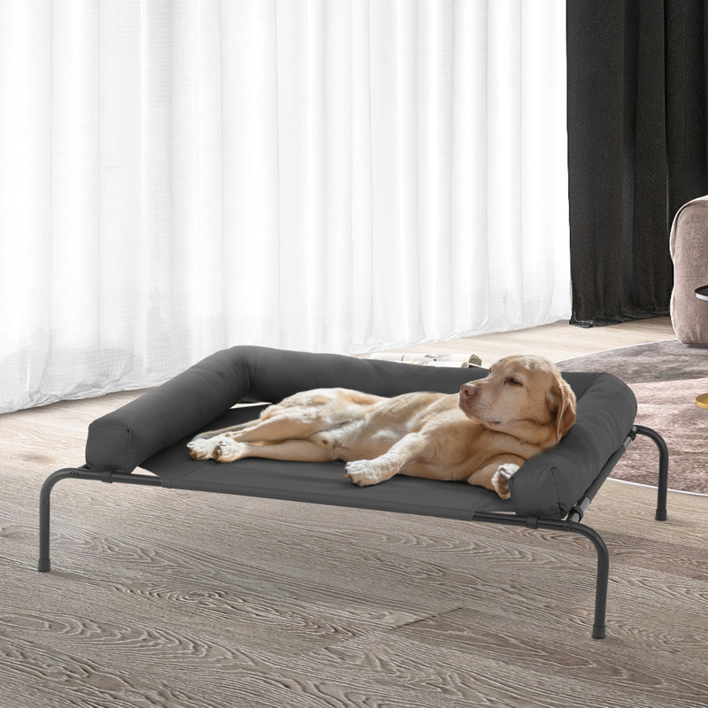 Lit pour chien surélevé avec coussins Cooler, Gris foncé, Grand (l 48 po x P 35 po x H 9 po)