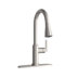 Brushed Nickel
