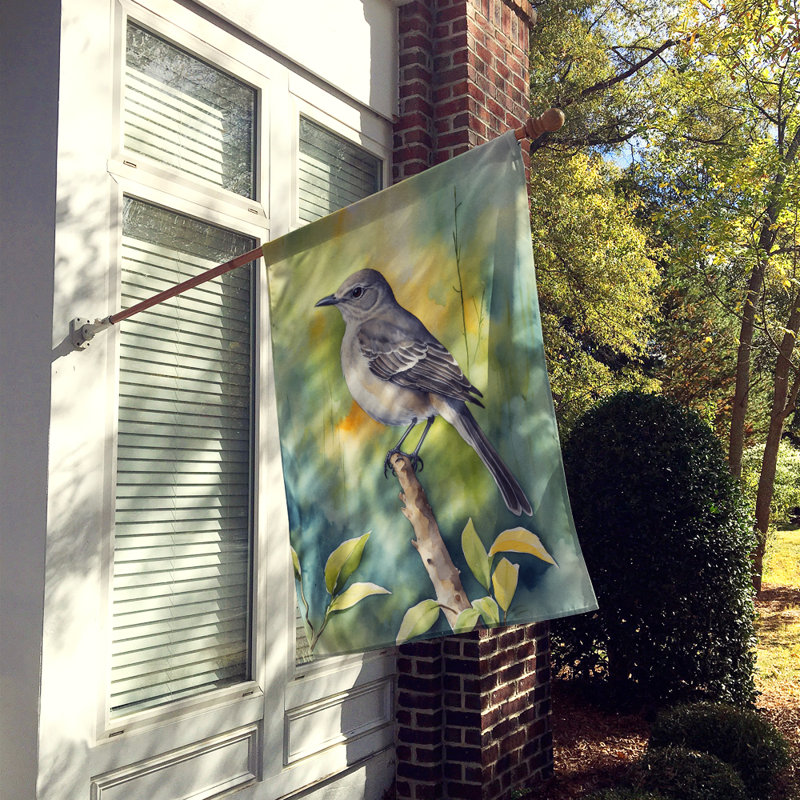 House Flag, Florida Northern Mockingbird