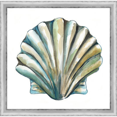 " Aquarelle Shells VI "