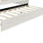 Full Size Upholstery Daybed Frame With Shall Shaped Backrest  And Trundle-440645089