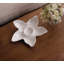 Vida Melamine Chips And Dip Platter