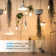 60 Watt Equivalent ST64 E26/Medium (Standard) Dimmable 2700K LED Bulb