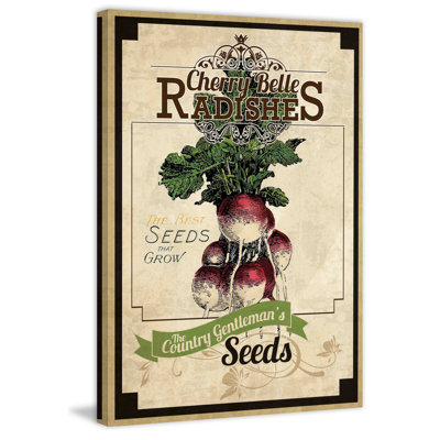 Seed Packet Radishes - Wrapped Canvas Print