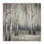 Misty Birch Tree Forest Mute Landscape - impression-105255746-105255749