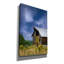 «Gerhilde Old Barn In A Summer Field on Canvas» par Don Schwartz, reproduction-88591276