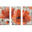 " Popping " 3 - Pieces-736515611