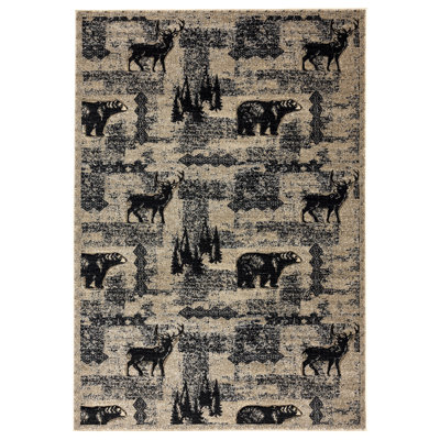 Shryock Indoor Rug