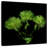 Harnek Green Pompons-109209915