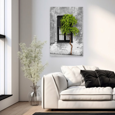 Green colour Pop Tree in front of the window of a house Calle San Jose Colonia Del Sacramento Uruguay 1 Piece Wrapped Canvas Wall Art