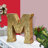 Haddam Text & Numbers Letter Block-244915088-244915093