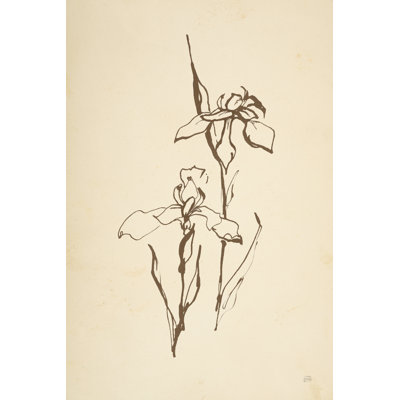 " Vintage Line Iris II " by Chris Paschke