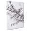Branch Of A White Cherry Blossom Tree - Wrapped Canvas-55362189