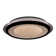 Aberdene Plastic LED Flush Mount