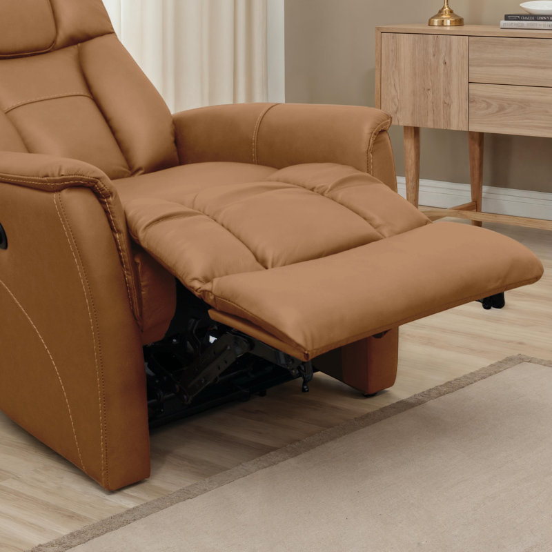 Fauteuil inclinable électrique Global Home avec appui-tête réglable manuel et repose-pieds électrique à Oslo Antelope