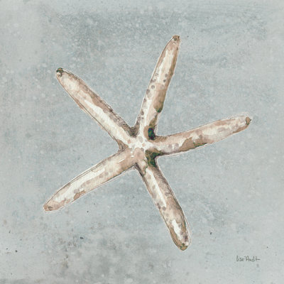 Sable et coquillages III