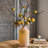 Arrangement-37246784