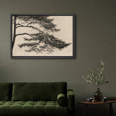 Pine Tree Drawing Canvas Print Wall Art, Vintage Botanical Decor for Office or Library