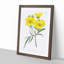 Yellow Tickseed Flowers - Framed Print-55614425-55614430