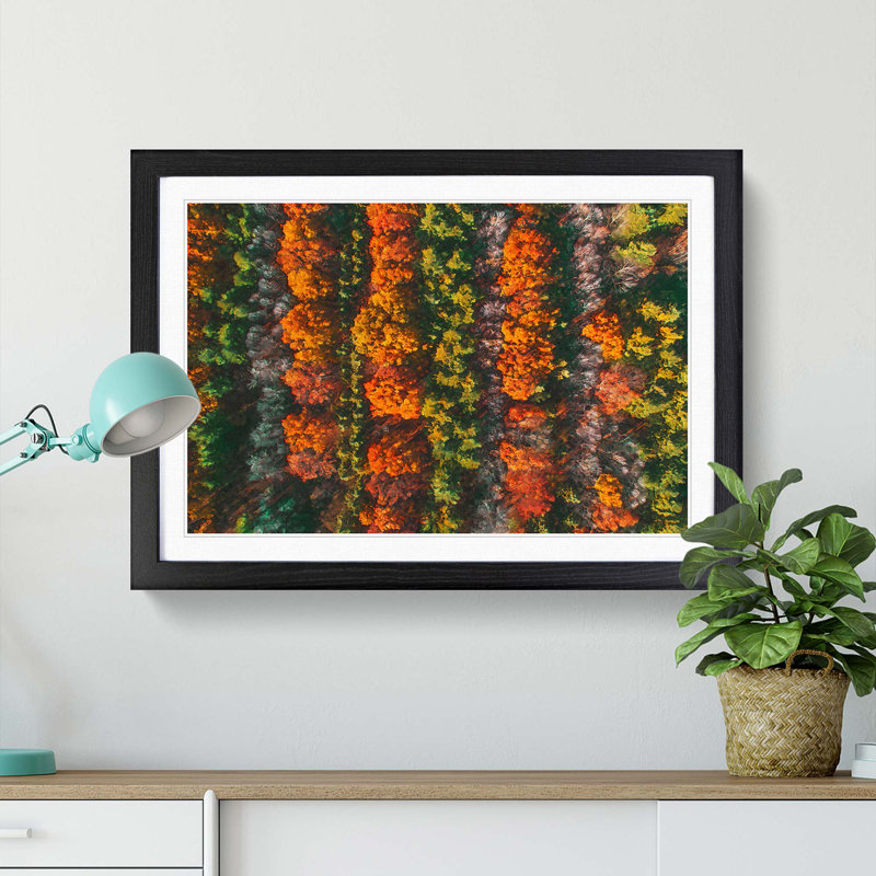 Autumn Forest Stripes - Picture Frame Graphic Art Print, 27cm H x 36cm W x 2cm D, Black Framed