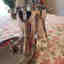 Customer photo 3 of 5