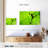 Brampt Frog Leaf Shadow-108887685