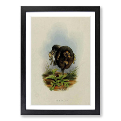 Vintage Dodo by John Jennens - Framed Print