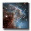 Art mural sur toile, "Monkey Head Nebula" par la NASA-1299121794
