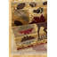 Multi 2 pi X 3 pi Tapis Lodge-1147302388