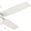 Ventilateur de plafond 52 pouces pour l'extérieur à 4 pales standard avec chaîne de traction et ensemble d'éclairage inclus Ocala-56046691