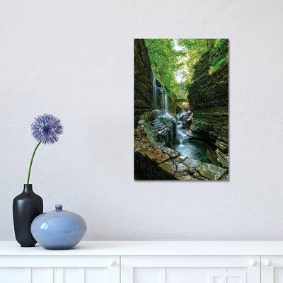 " Rickets Glen " by David Gardiner