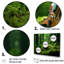 «Violin Verdure In The Forest IV», reproduction sur toile-2012382126-2012382134