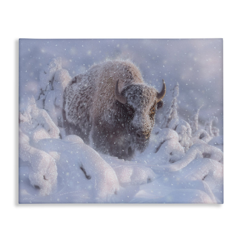 Bison d'hiver dans une toile profonde, design par Collin Bogle, H 24 po x l 30 po