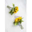 Centres de tournesol en paquet