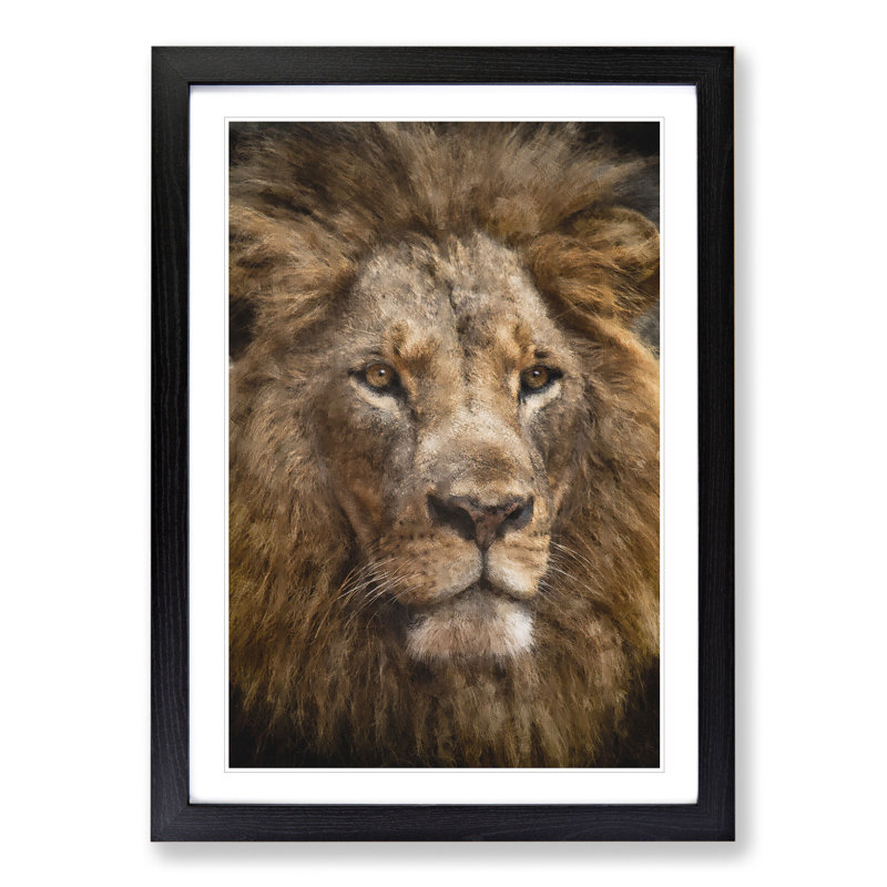 Face of a Lion - Framed Print, 48cm H x 36cm W x 2cm D, Black Framed