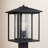 Vermont Seeded Lantern Head-2009801567