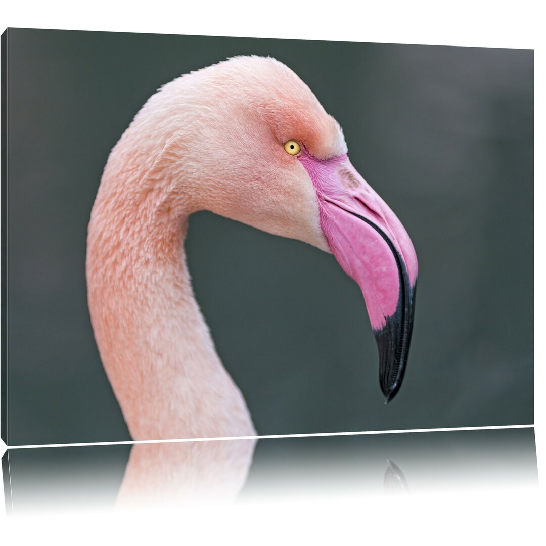 Leinwandbild Flamingo im Seitenprofil