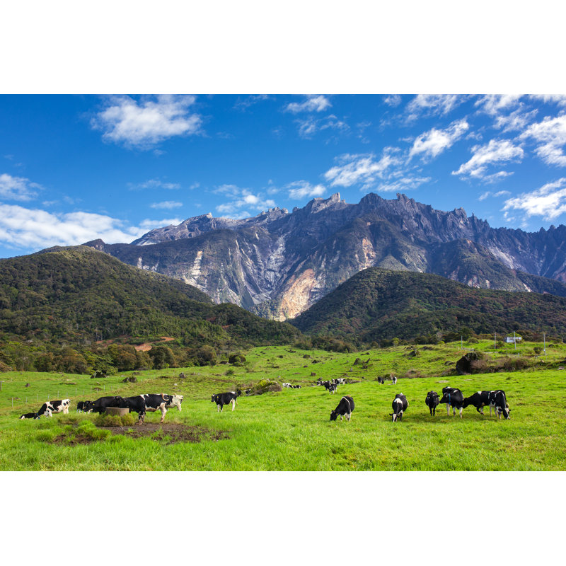 Mount Kinabalu by Mazzzur - Wrapped Canvas Print, 30cm H x 46cm W