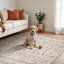 Oriental Area Rug-2119031432