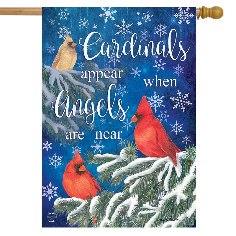 Les Cardinals arborent le drapeau de la maison d'hiver